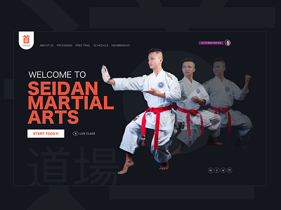 Martial Arts - Sports - Self Defense design ui visual design web design