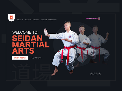 Martial Arts - Sports - Self Defense