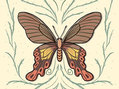 Butterfly Symmetry butterfly butterfly illustration design digital art graphic design illustration leaves nature procreate vector