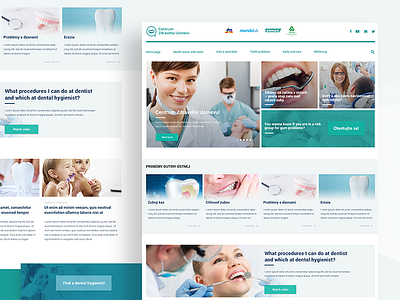 Healthy Smile dentists medicine smile ui user interface ux web webdesig website wip
