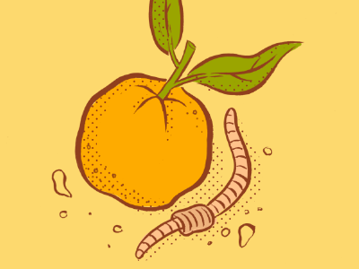 Orange and Earthworm brush digital illustration ink tuesday bassen