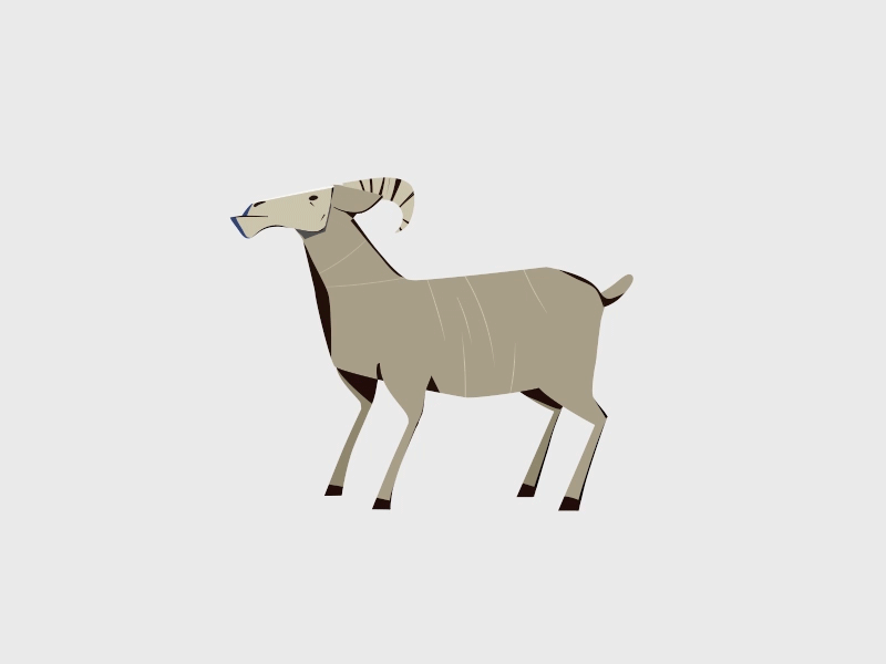 Cabra Dance 2d animation character animation goat