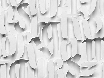 Strokes, Shapes & Light / Broad nib calligraphy light papercraft photography poster typography