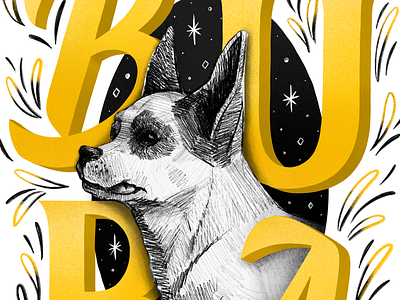Happy Dog Day🐶 design dog fourplus illustration lettering national dog day poster procreate typography