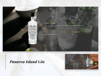 Island Gin Banners Design cocktail design drink gin island simple web