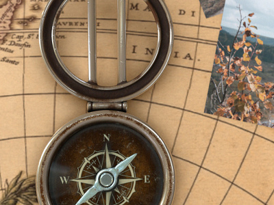 Compass 3d 3d art blender3d compass concept geometry map nature symbol travel vintage