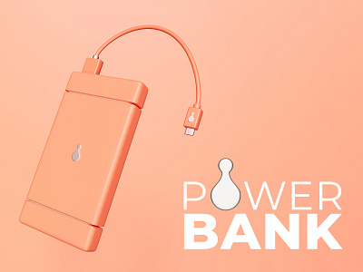 PowerBank charger