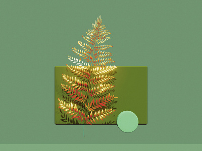 Fern Leaf, circle and rectangle 3d 3d art blender3d concept fern geometry illustration leaf nature