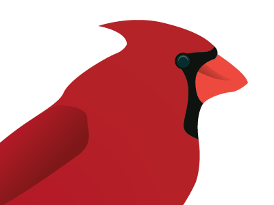 Cardinal animal bird cardinal north carolina red wildlife