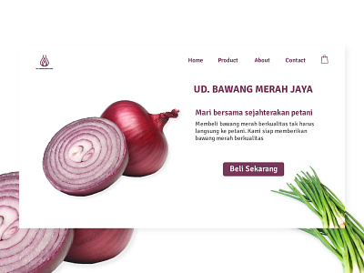 onion web design flat identity illustration landing design landing page landing page ui logo ui uidesign ux vector website concept