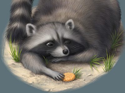 Racoon and cookie character cookie illustration racoon