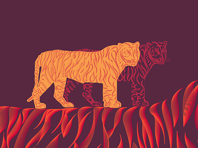 Tiger illustration