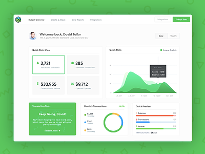 Cashtrackr - Welcome & Main Page application budget clean dashboard design green light money ui user interface ux