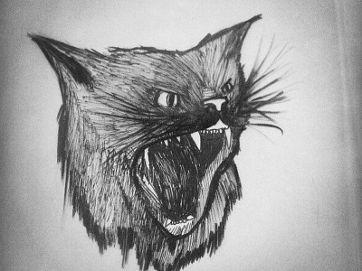 Bad Luck animal bad black cat halloween illustration luck portrait salem spooky