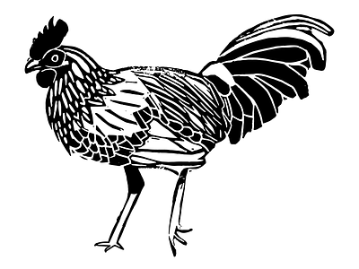 Cluck cluck... chicken illustration monochrome printed printing