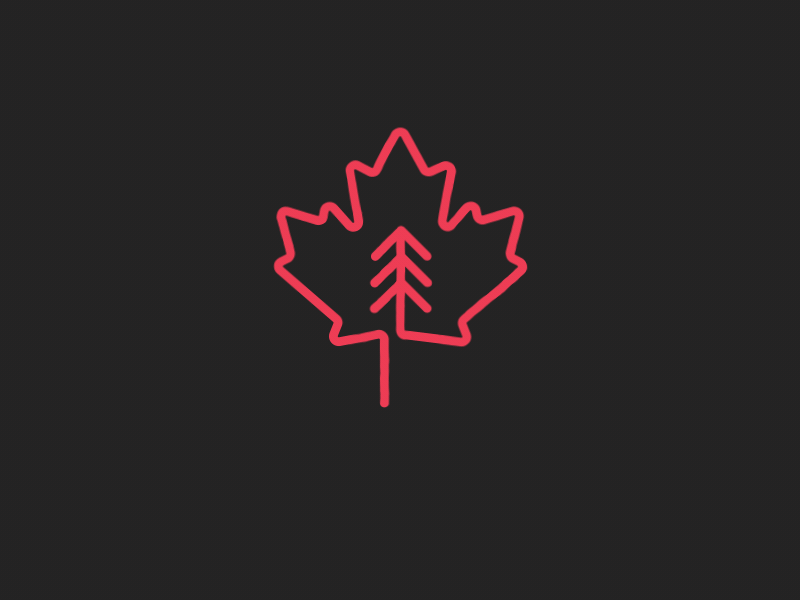 Quanada logo animation animation canada icon leaf logo