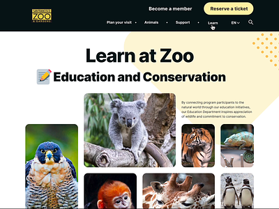 Zoo website-learning and conservation conservation details details page education kids learning programs volunteer website zoo