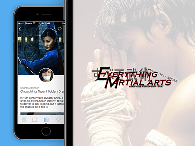 Everything Martial Arts blog e commerce ecommerce minimal mobile product responsive videoplayer