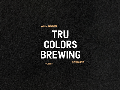 TRU Colors Brewery Branding beer beer branding beer can beer label brand design brand identity brand positioning brand strategy branding branding and identity brewery design focus lab gang gangs identity branding identity design logo design logo mark visual identity