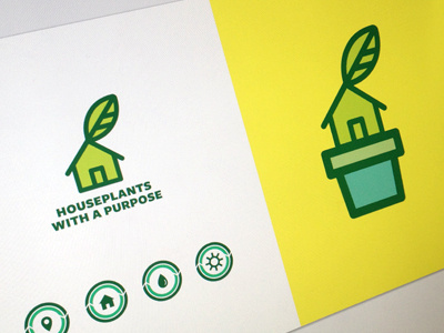 Houseplant
