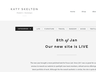 Bloggy blog branding clean design focus lab skelton web design