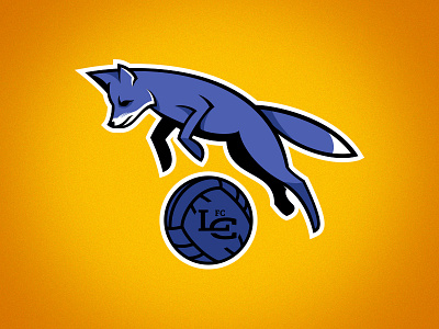 Leicester City football foxes leicester soccer