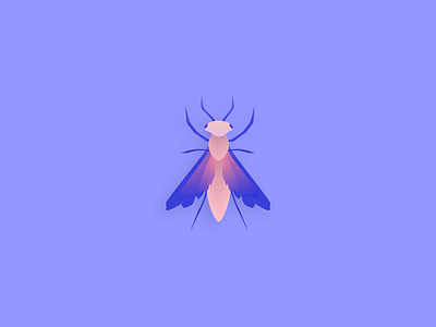Moth branding design graphic icon identity illustration illustrator logo logo design minimal vector web website