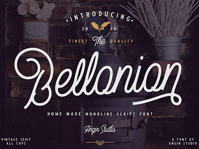 Bellonion Monoline Script Font branding classic custom design display font font bundle font collection font design illustration lettering logo script serif type design typeface typography vector vintage