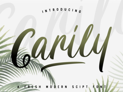 Carily Modern Script branding typedesign vector custom logo lettering script font design typeface typography design display font