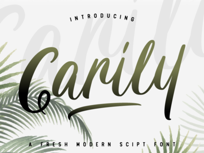 Carily Modern Script branding custom design display font font design lettering logo script typedesign typeface typography vector