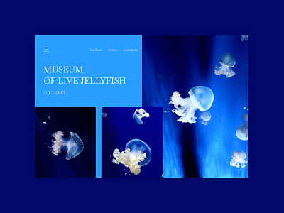 Museum of live Jellyfish clean design concept creative grid hero section interface jellyfish minimalistic museum ui uxui web website design