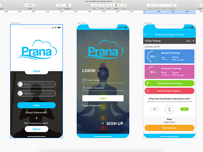 Prana Healthcare Apps Design apple dashboard flat health ios 12 iphone login sketch app ui ux