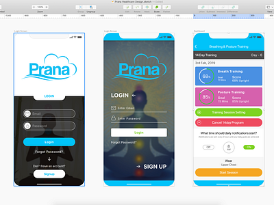 Prana Healthcare Apps Design