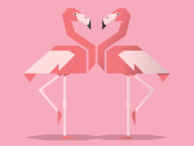 Flamingos flamingos pink vector