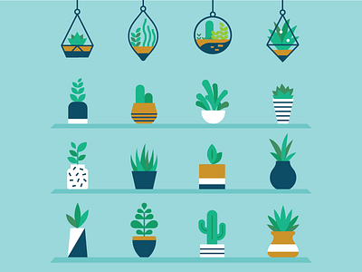 Plants illustration leaves plants pots vector