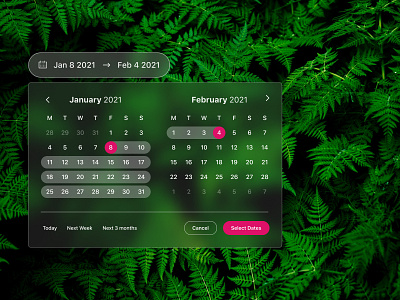 Daily UI Day 80 - Date Picker