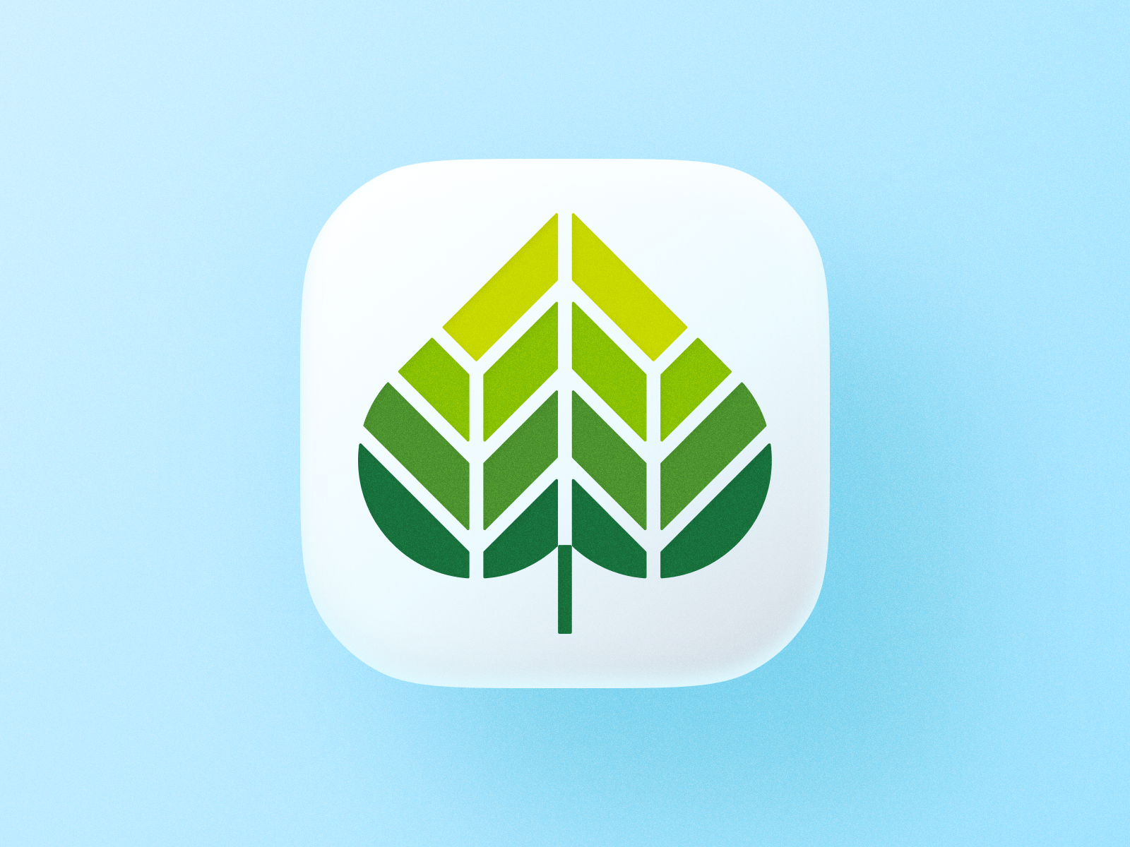 Bio Leaf Icon! By Nour Oumousse On Dribbble