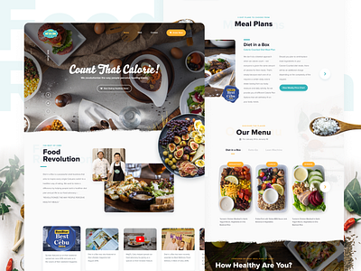 Diet in a Box -  Homepage Design