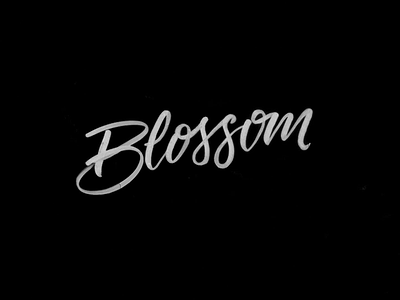 Blossom blossom brushpen brushtype calligraphy frank carter handmade tombow typography