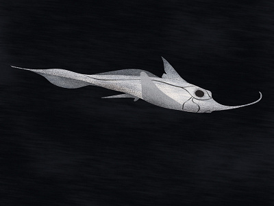 Rhino Ghost Shark black and white deep sea fish graphic illo illustration personal project texture vector