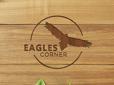 Eagles Corner brand guideline branding clean design design eagle logo logo vector