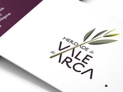 HVA logo branding logo logotype olive oil