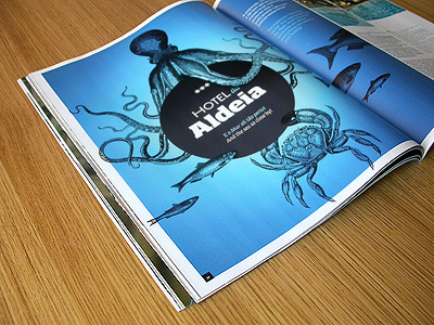 Belver Living magazine editorial design graphic design magazine publishing