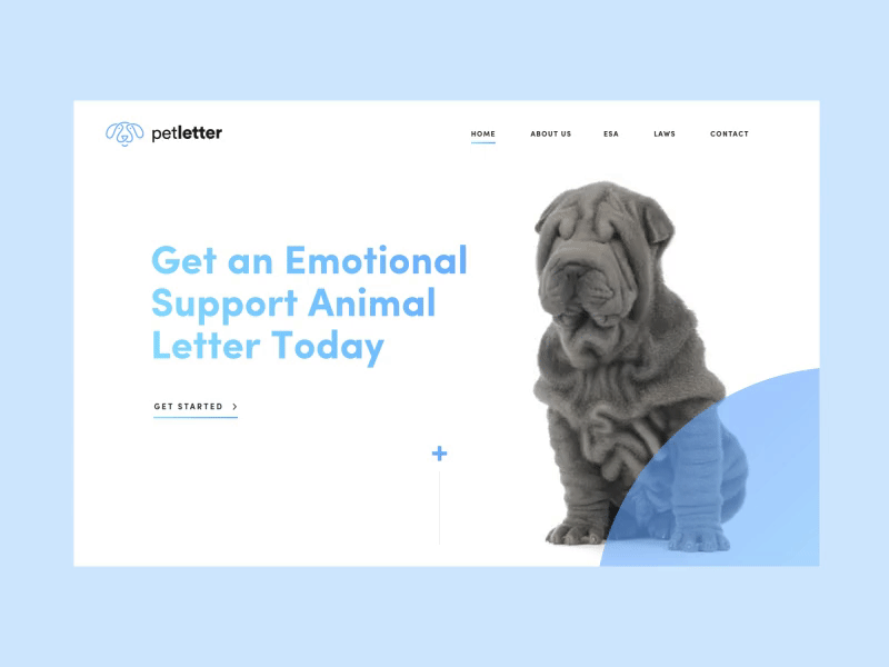 Petletter animals clean dog minimalistic simple video website