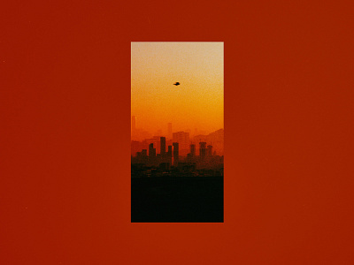 Arrival 35mm 35mm photography analog photography bird cityscape gradient herm the younger hermtheyounger illustration photography photoshop print sunset