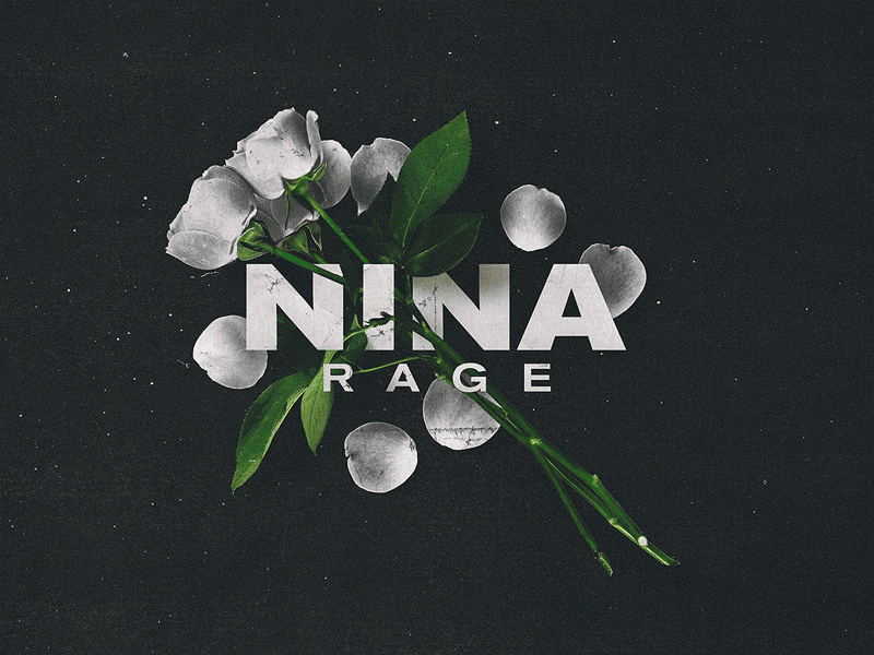 Nina — Process Animation album album cover animation art cover design ep cover gif graphic design herm the younger hermtheyounger photography process