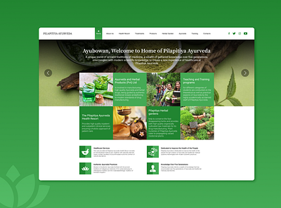 Home page design for - Pilapitiya Ayurveda (Sri Lanka) branding design ui ux web website