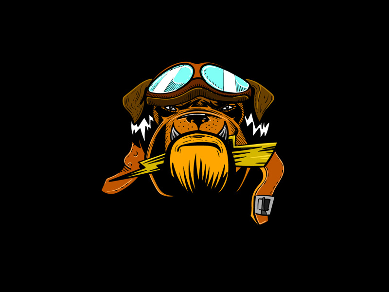 The Flying Dog By Radugabriel On Dribbble
