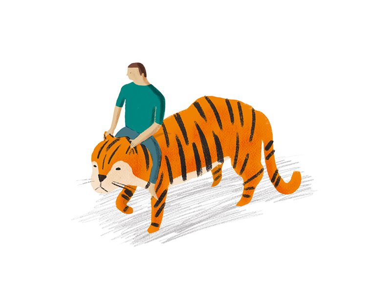 tiger riding