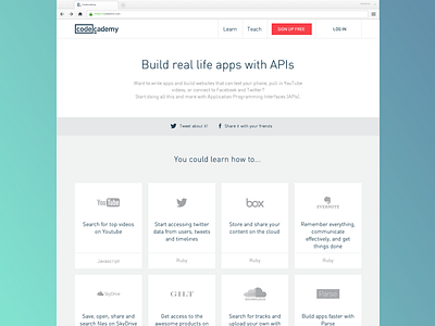 Codecademy API page delhi design india ui ux web